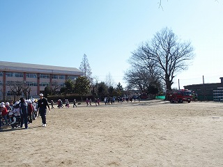 Sp1181205