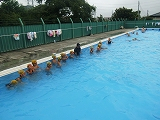 Dscf0504 Dscf0504