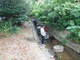 Dscf0529