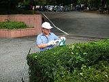Dscf0559