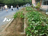 Dscf0564