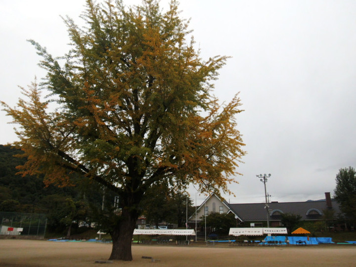 Dscf0725