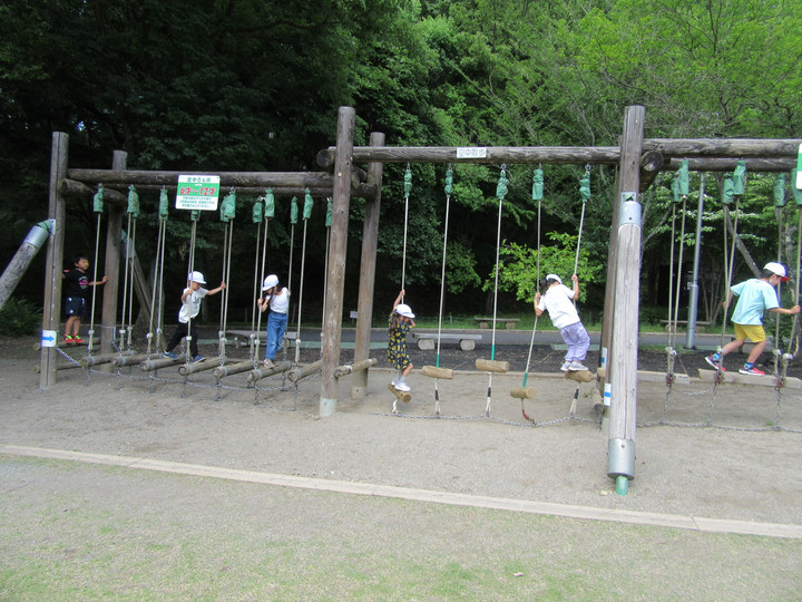Img_6231_2
