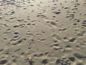 Image_3