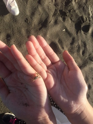 Image_4