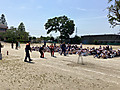 Img_5740 Img_5740