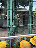 Img_5534 Img_5534
